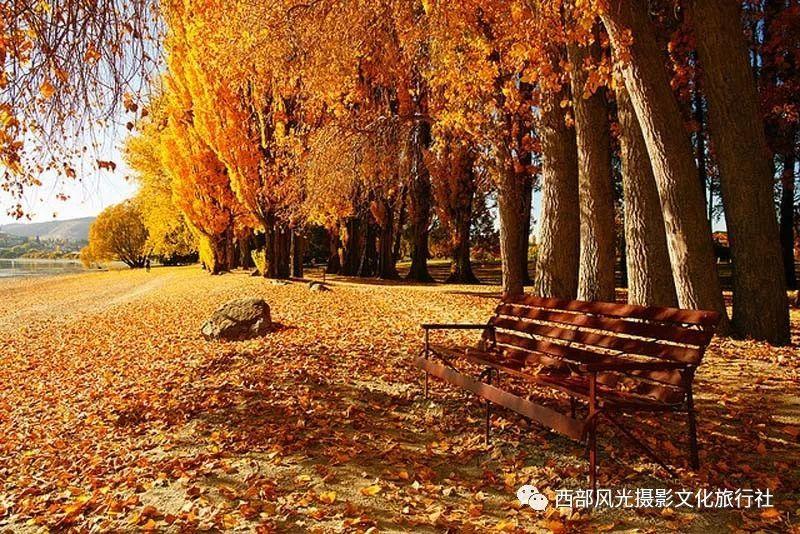 ANEXT安龄生物·干细胞衍生的外泌体在耳鼻咽喉头颈外科中的临床应用